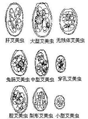 丁香实验推荐阅读