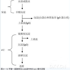 丁香实验推荐阅读