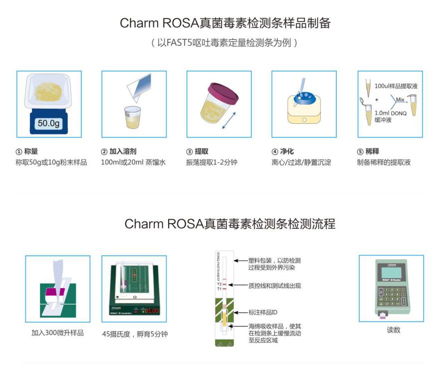 丁香实验推荐阅读