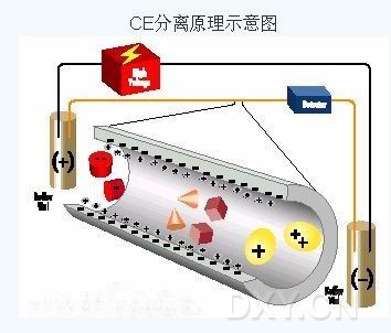 丁香实验推荐阅读