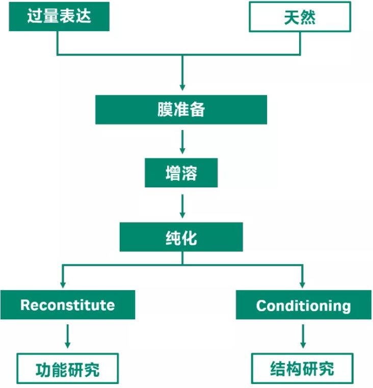 丁香实验推荐阅读