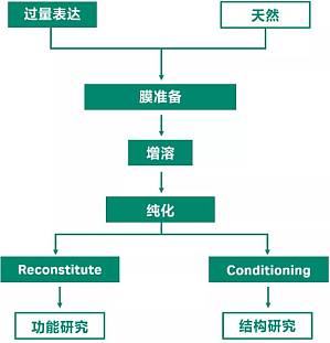 丁香实验推荐阅读
