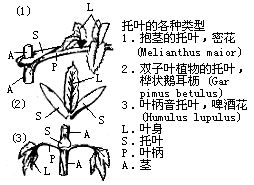 丁香实验推荐阅读