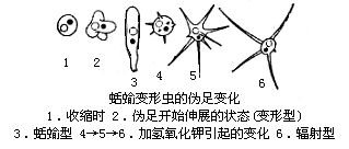 丁香实验推荐阅读