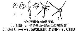丁香实验推荐阅读