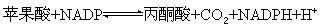 丁香实验推荐阅读