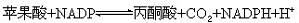 丁香实验推荐阅读