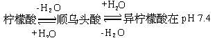 丁香实验推荐阅读