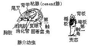 丁香实验推荐阅读