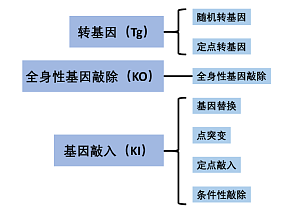 丁香实验推荐阅读