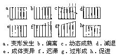 丁香实验推荐阅读