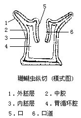 丁香实验推荐阅读