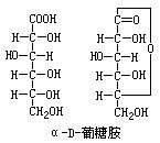 丁香实验推荐阅读