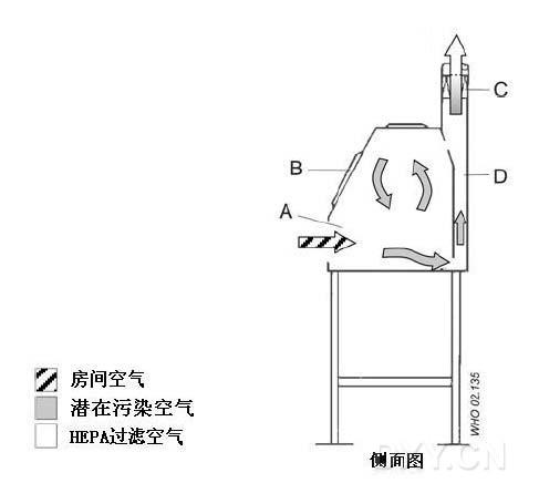 丁香实验推荐阅读