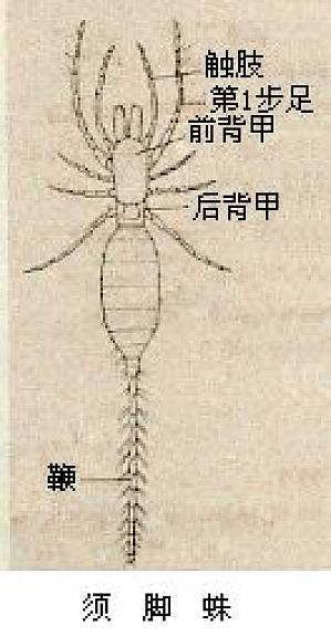 丁香实验推荐阅读