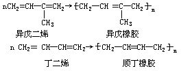 丁香实验推荐阅读