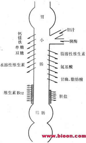 丁香实验推荐阅读