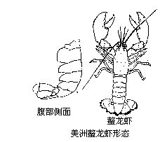 丁香实验推荐阅读