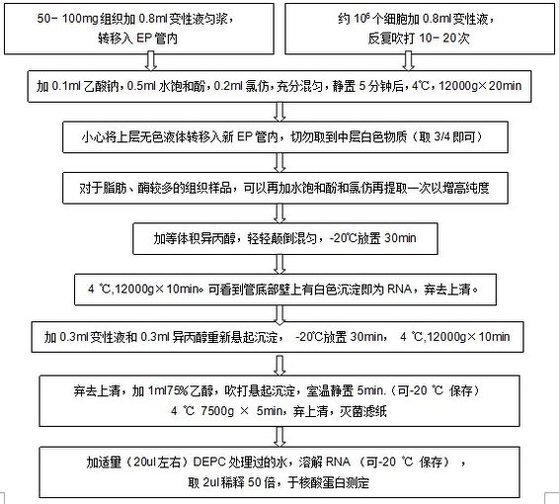 丁香实验推荐阅读