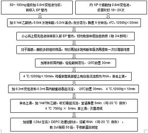 丁香实验推荐阅读