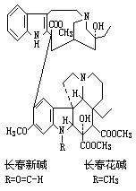 丁香实验推荐阅读