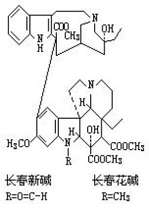 丁香实验推荐阅读