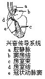 丁香实验推荐阅读