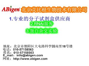 丁香实验推荐阅读
