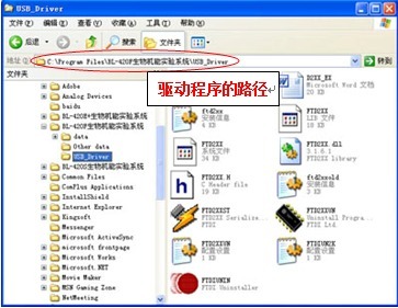 丁香实验推荐阅读
