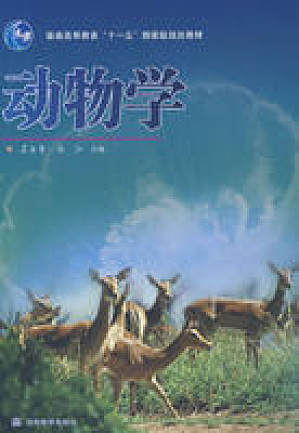 丁香实验推荐阅读