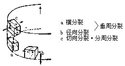 丁香实验推荐阅读