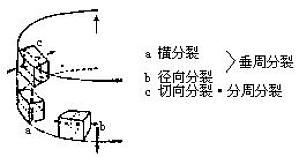 丁香实验推荐阅读