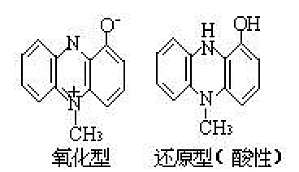 丁香实验推荐阅读