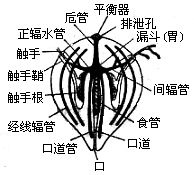 丁香实验推荐阅读