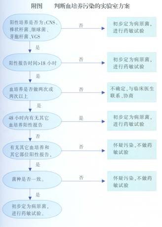 丁香实验推荐阅读