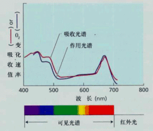 丁香实验推荐阅读