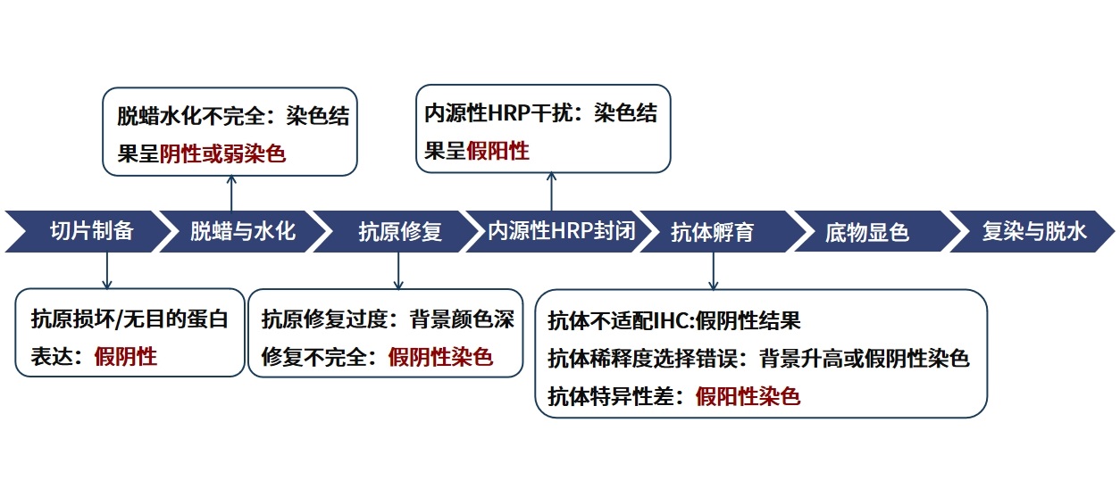 丁香实验推荐阅读