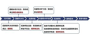 丁香实验推荐阅读