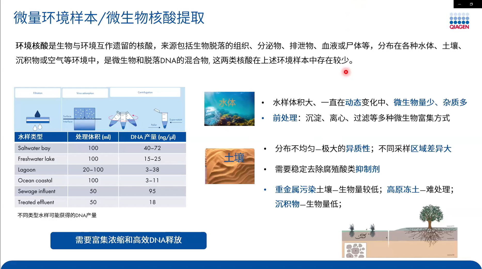 丁香实验推荐阅读