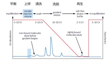 丁香实验_首页前沿资讯图