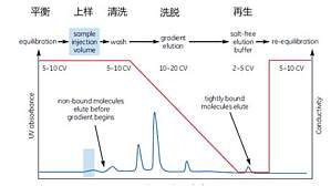 丁香实验推荐阅读