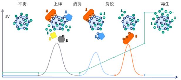 丁香实验推荐阅读