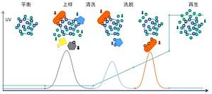 丁香实验推荐阅读