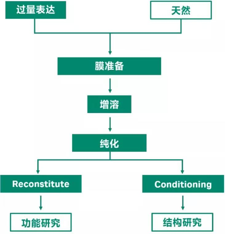 丁香实验_首页前沿资讯图