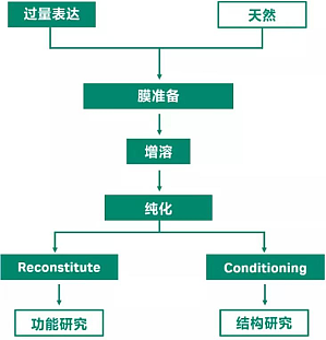 丁香实验推荐阅读