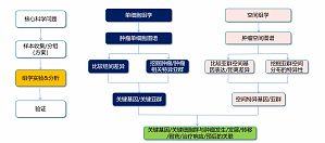 丁香实验推荐阅读