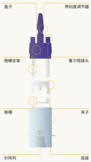 小鼠心脏灌流解离制备高质量心肌细胞