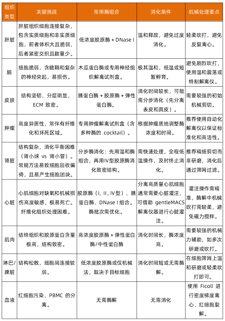 组织解离的常用方法以及应用方向全梳理