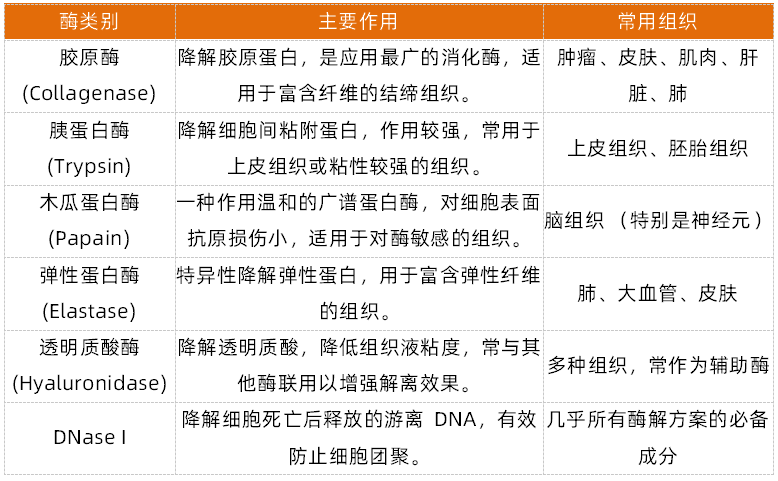 组织解离的常用方法以及应用方向全梳理