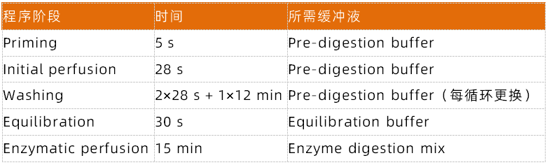 小鼠心脏灌流解离制备高质量心肌细胞